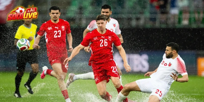 Kinh nghiệm soi kèo trước trận Qatar và Thụy Sĩ